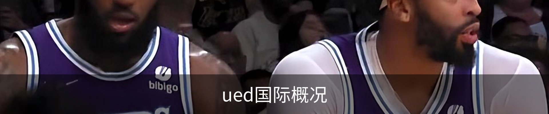 ued国际概况